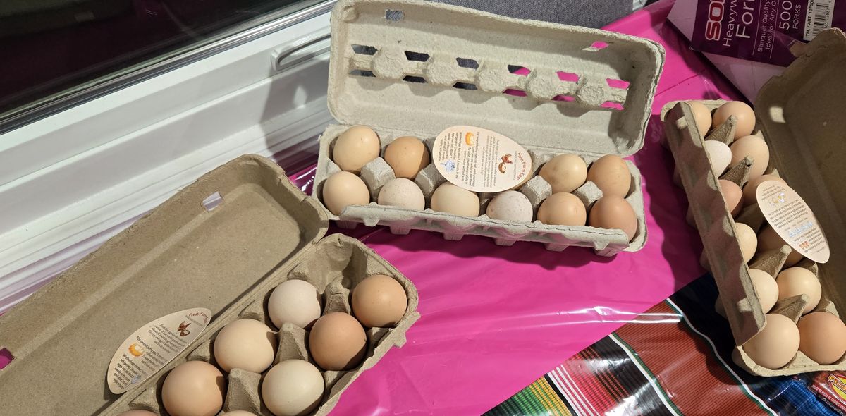 Three open cartons of brown and cream eggs on a market table